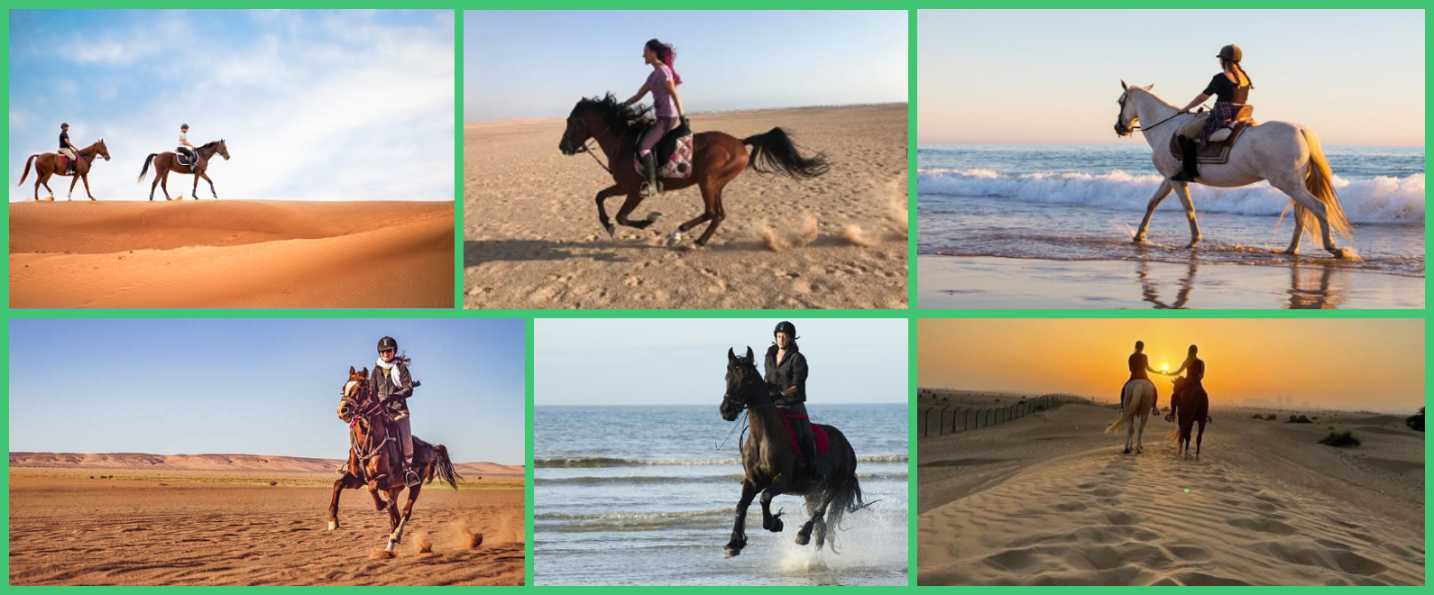 Dubai Horse Riding