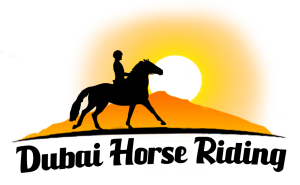 Horse Riding Dubai | Horseback Riding Dubai Desert & Beach